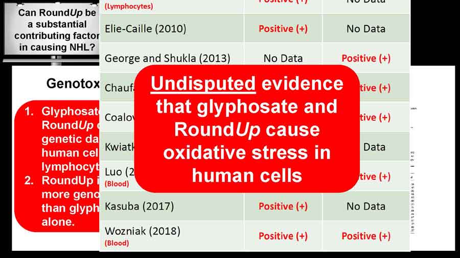 Undisputed evidence that glyphosate and RoundUp cause oxidative stress in human cells